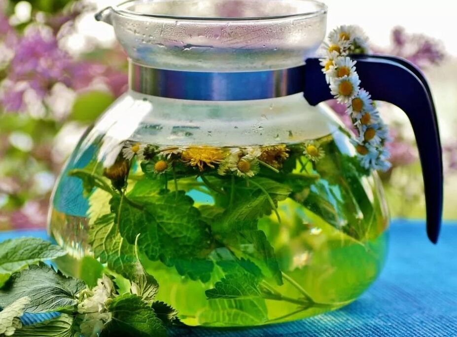 Infusion of the collection of grass from varicose veins